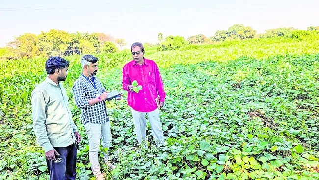 పంట పొలాల సందర్శన