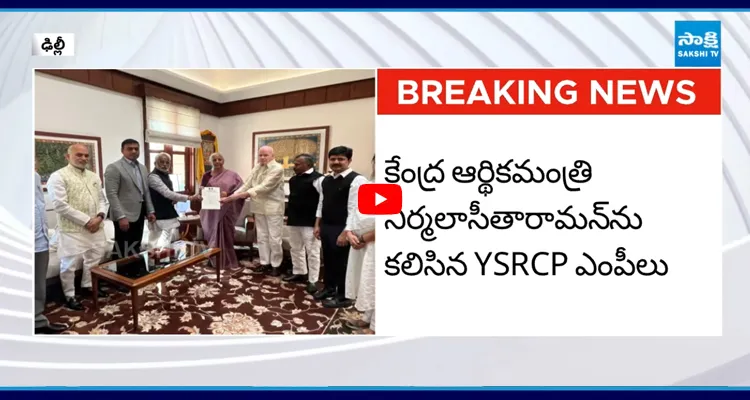 ప్రైవేటీకరణ ఆపండి నిర్మలా సీతారామన్కు YSRCP ఎంపీల ఫిర్యాదు