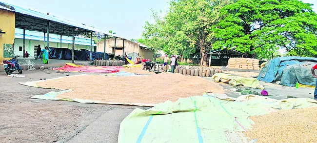 మక్కల కొనుగోళ్లలో దందా!