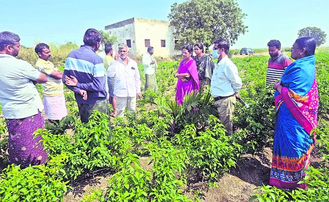 పత్తి రైతులు చలికి చిత్తు 