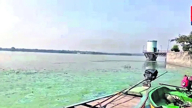 కృష్ణా తీరంలో వ్యర్థ రసాయనాలు