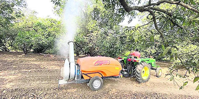 అందుబాటులోకి ‘మ్యాంగోమాస్టర్‌’