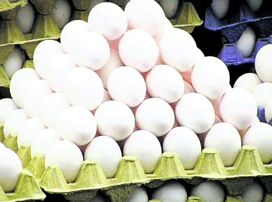 గుడ్డుకు ‘గడ్డు’ కాలం 