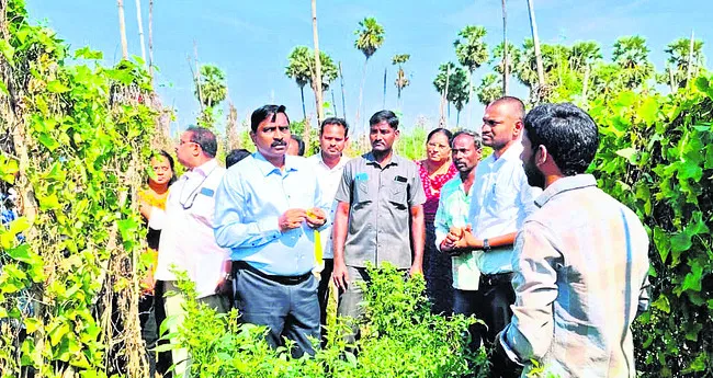 ప్రకృతి సేద్యంతో నిత్య ఆదాయం 