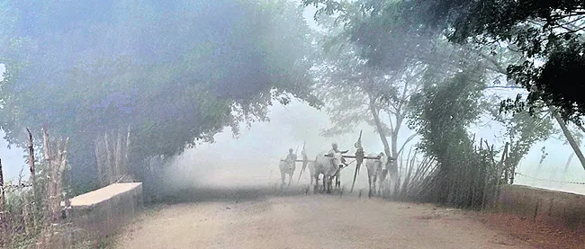 అరకులో చలి పంజా 