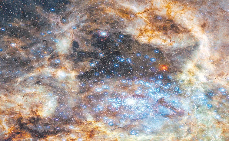 James Webb Space has managed to capture light from GS 3073