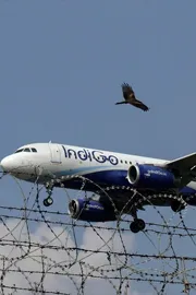 Key Updates on the IndiGo Crisis, Check details