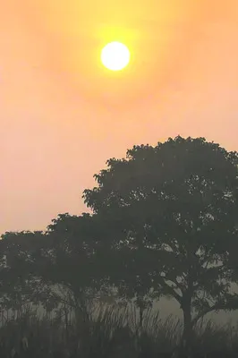 కోనసీమపై చలి పంజా..