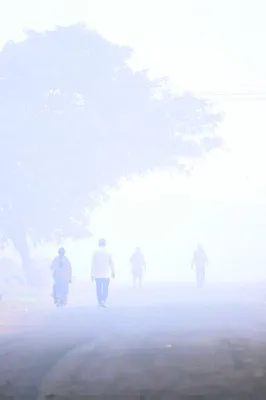 కోనసీమపై చలి పంజా..