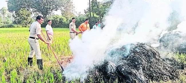 వరి కుప్పలు దగ్ధం 