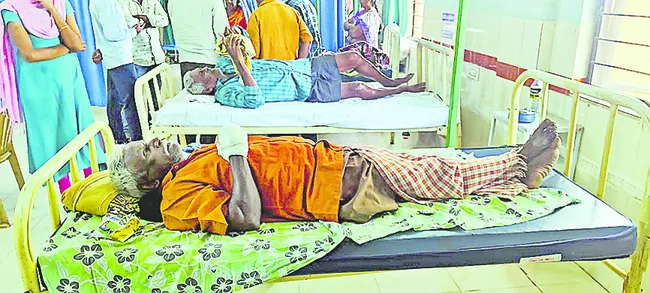 పిచ్చి కుక్క దాడిలో  21 మందికి గాయాలు  