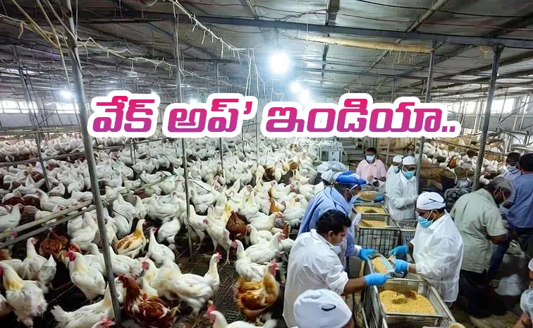 చికెన్‌ తింటున్నారా.. ఎంత వరకు సురక్షితం?