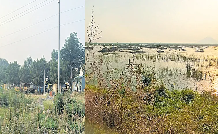 Construction of Seed Axis Road by occupying Dondapadu Lake
