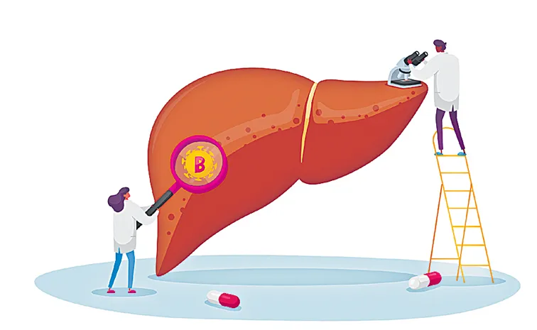 MDR infection in liver patients