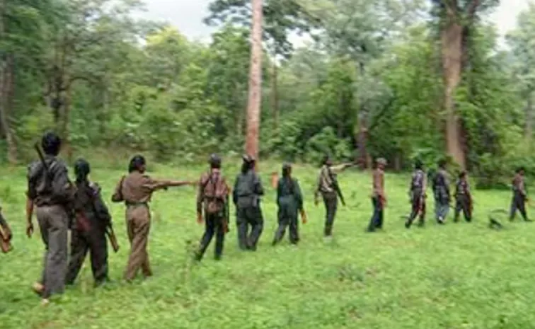 ఛత్తీస్‌గఢ్‌: మరో 10 మంది మావోయిస్టుల లొంగుబాటు