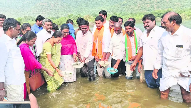 11.40 లక్షల చేప పిల్లలు విడుదల 