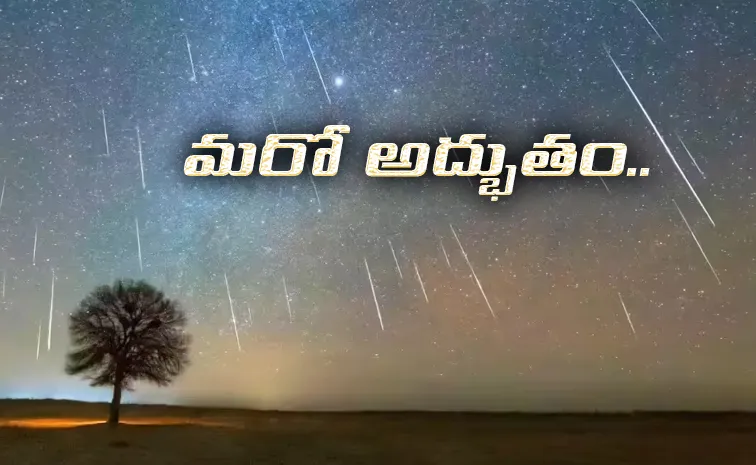 Geminid Meteor Shower 2025 When and Where to Watch