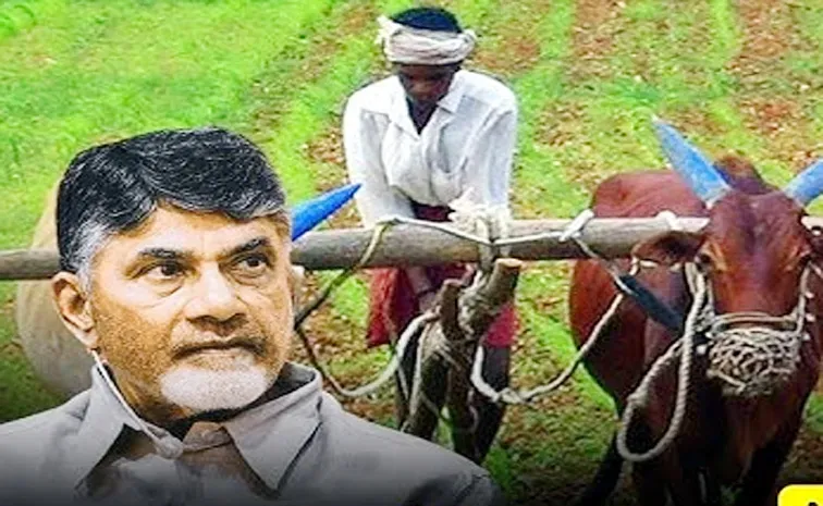 Chandrababu Govt Neglected Farmers Once Again on Crop insurance