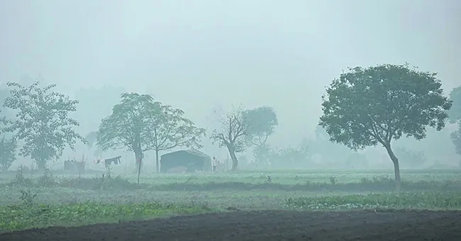 ● పడిపోతున్న ఉష్ణోగ్రతలు