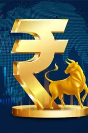 Nifty 50 closed 2025 resilient note Year End Review