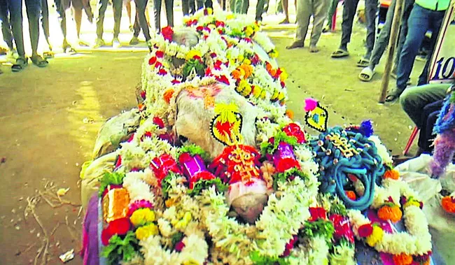 ఉత్తర కర్ణాటక కేడీఎం కింగ్‌ మృతి