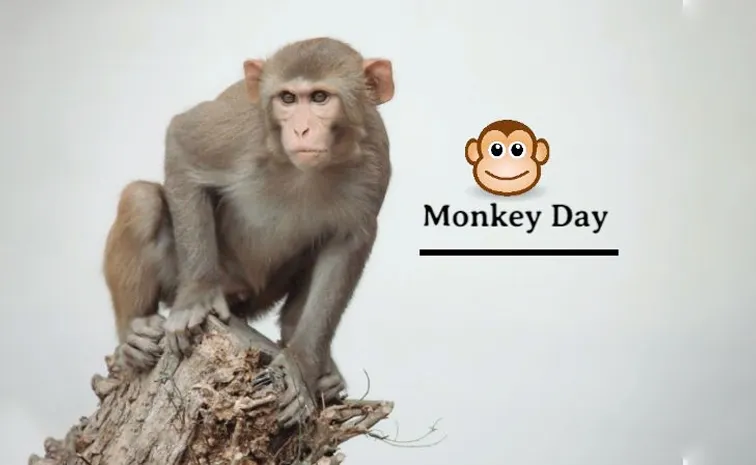 Monkey Day: అడవులను సృష్టించే ‘కోతి చేష్టలు’