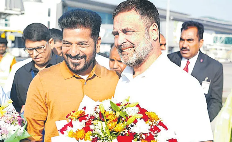 తెలంగాణలో పార్టీ పనితీరుపై రాహుల్‌గాంధీ  సంతృప్తి 