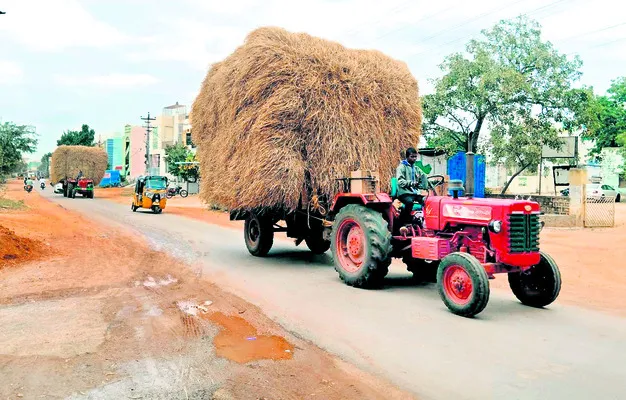 పశుపోషణకు గడ్డుకాలం