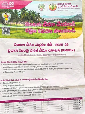 పంటల బీమా ఉన్నట్టా... లేనట్టా..? 