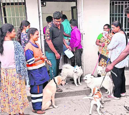 నేటి నుంచి జరిమానా 