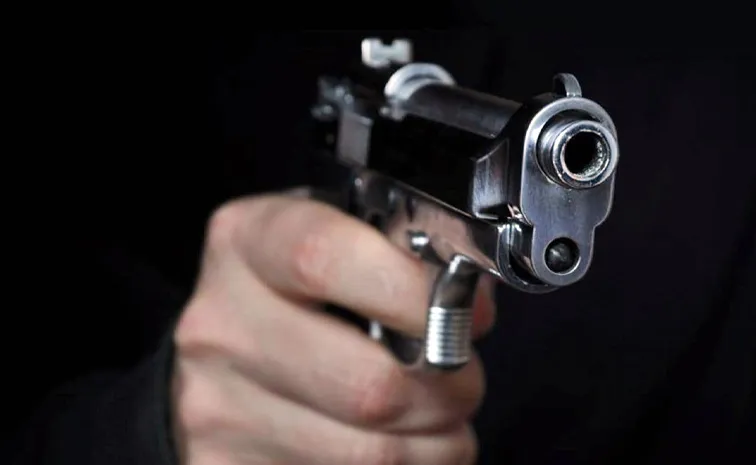 గన్‌ కల్చర్‌.. భారత ఆయుధ చట్టం ఏం చెబుతోంది?