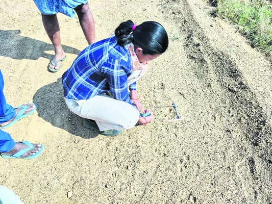 భిక్కనూరులో చిరుత పులి సంచారం 