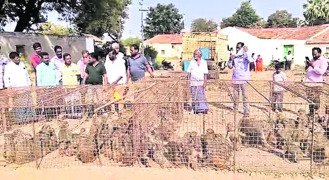 చిన్న వయసు.. పెద్ద బాధ్యత