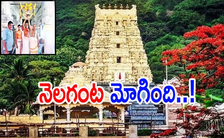 నెలగంట కట్టడం అంటే..? అది పండుగ రాకకు సంకేతమా..? 