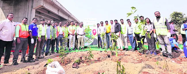 మొక్కల పెంపకంతో పర్యావరణ సమతుల్యత 
