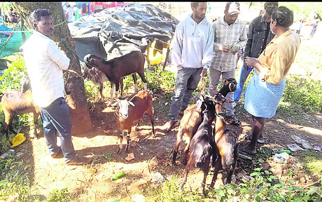 గొర్రెలు, మేకలకు భలే డిమాండ్‌ 