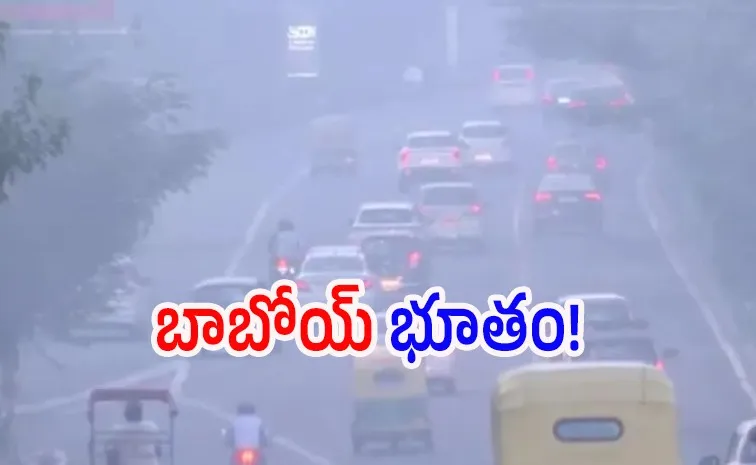 Delhi Pollution crisis  mandates 50 Pc work from home for all firms