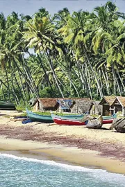 Winter Vacations Goa Kerala Emerge as Top Travel Destinations