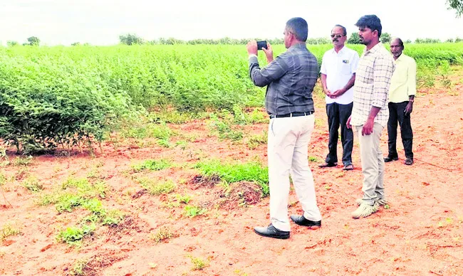 ఇదెక్కడి తిరకాసు బాబూ! 