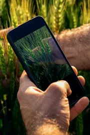 AI helps common man in rural areas by improving many ways check list