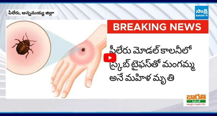 Scrub Typhus Cases: వణికిస్తున్న పురుగు పెరుగుతున్న కేసులు
