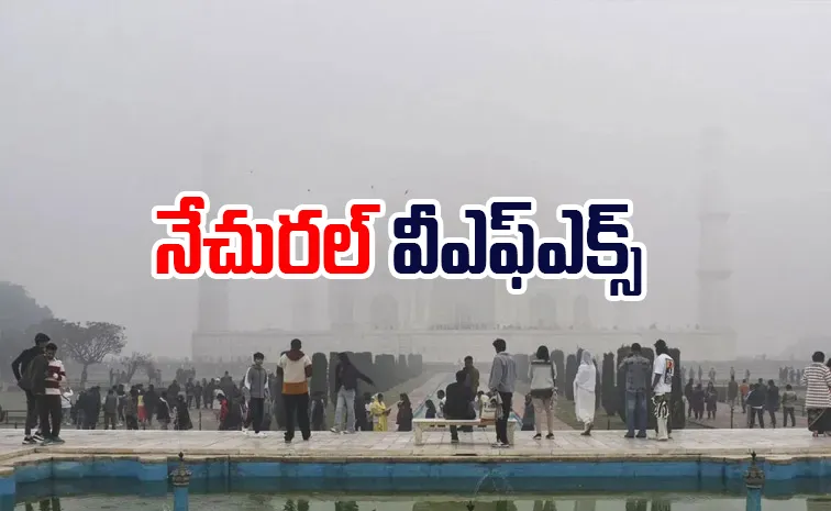 Tourists stare at nothing as Taj Mahal hides behind dense fog