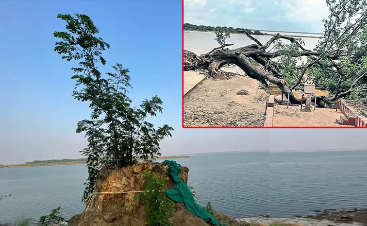 సినిమాల చెట్టు.. మళ్లీ చిగురించింది.. వంశీ భావోద్వేగం