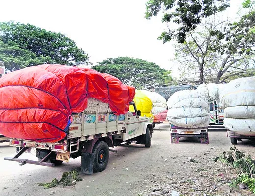 క–కలో తెల్ల బంగారం వెలవెల 