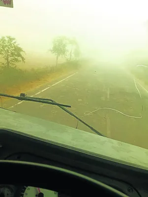 వణికిస్తున్న చలి పులి