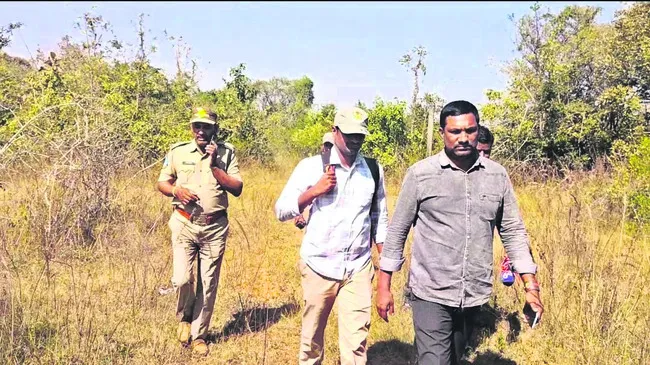 పెద్దపులి జాడ కోసం గాలింపు