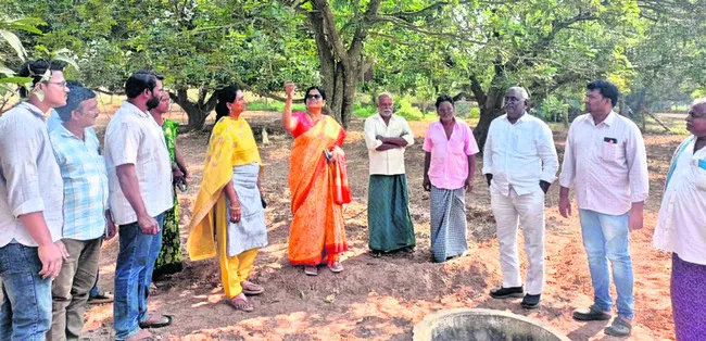 మామిడి తోటల్లో యాజమాన్య పద్ధతులు చేపట్టాలి 