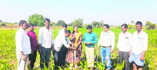 పంట మార్పిడి తప్పని సరి
