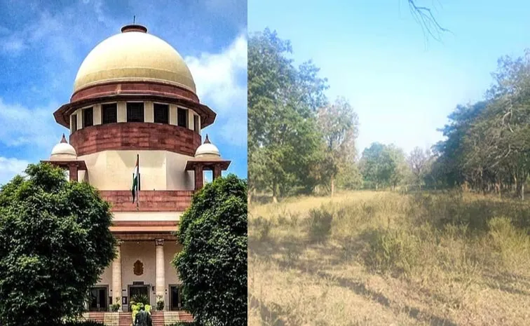 Supreme Court Key Verdict On Gurramguda Forest Lands