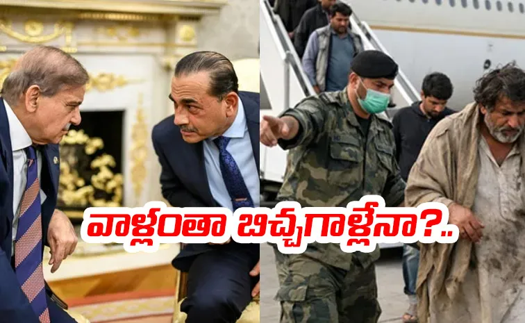 Saudi Arabia UAE Deports Pak nationals As Beggars Details Here